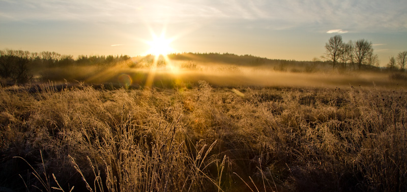 Frost Covered Field At Sunrise